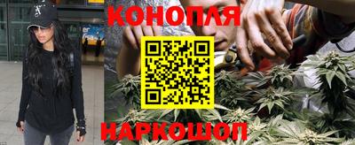 кокс Можайск